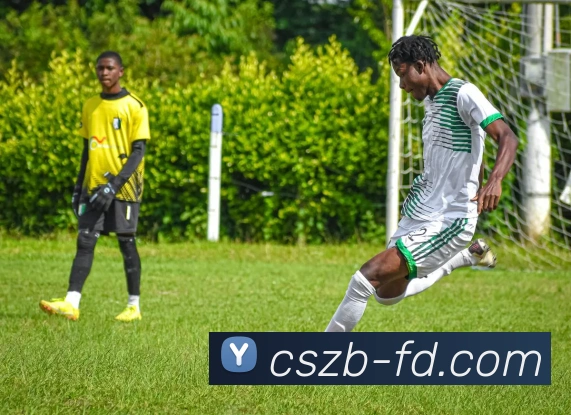 彩神争霸平台生态图