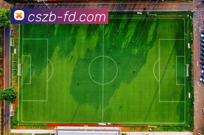 彩神争霸APP 封面图